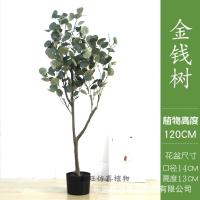 XU0613025